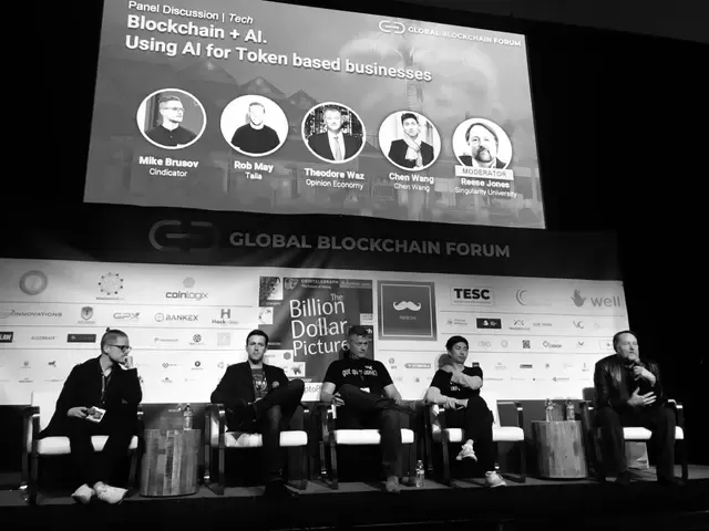 Mike Brusov on a panel about using AI for token-based businesses